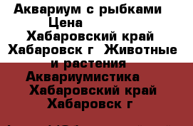 Аквариум с рыбками › Цена ­ 15 000 - Хабаровский край, Хабаровск г. Животные и растения » Аквариумистика   . Хабаровский край,Хабаровск г.